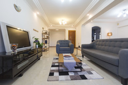 Blk 513 Jelapang Road (Bukit Panjang), HDB Executive #187889342